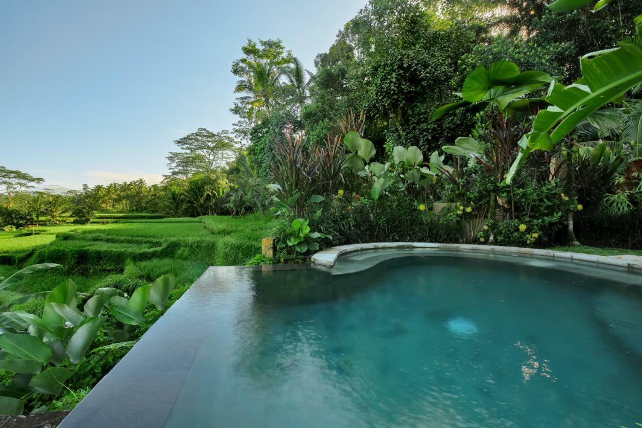 Villa Kembang Bali Ubud Eksteriør bilde